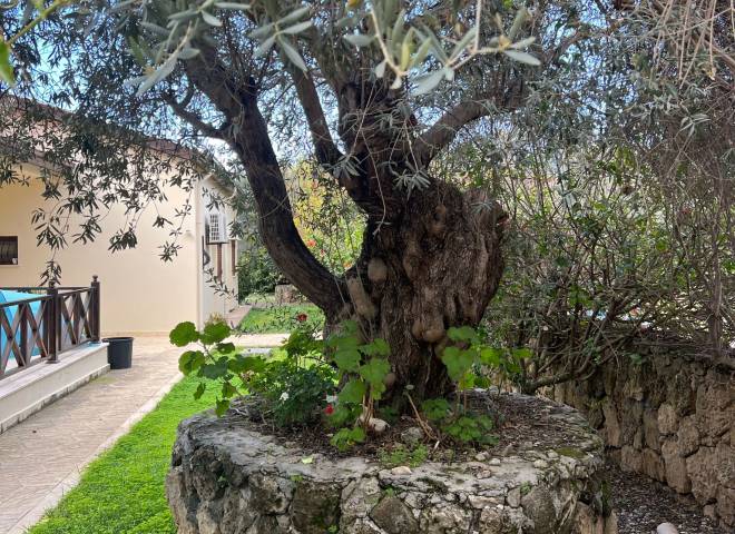 Detached Villa With Large Plot, Private Swimming Pool